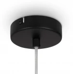 Подвесной светильник Maytoni Duality MOD271PL-01B6 (220V, на проводе)