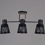 Потолочная люстра на штанге Reluce 06074-3.3-03 BK+FG (220V)