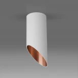 Накладной точечный светильник Elektrostandard 7011, 7005 DLN114 GU10 (220V)