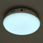 Светильник светодиодный потолочный с БАП 12W Feron AL3025 48986 (220V, круглые, IP65)