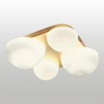 Потолочный светильник Lussole Moore LSP-8990 (220V)