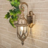 Настенный фонарь уличный Elektrostandard Orion черное золото