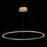 Подвесной светильник ST Luce St605 Down ST605.243.46 (LED, 220V, на тросе, кольцо)