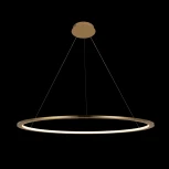 Подвесной светильник Loft IT Ring 10014XL (LED, 220V, на тросе, кольцо)