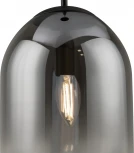 Подвесной светильник Freya Tesse FR1011PL-01B1 (220V, на проводе)