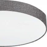 Настенно-потолочный светильник Eglo Pasteri 97617