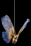Подвесной светильник Fluorite Borboleta FL1103-1P2 (LED, 220V, на проводе, для девочки, бабочки)