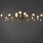 Потолочная люстра Freya Celebrity FR5242CL-24BS (220V, шарики)