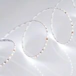 Светодиодная лента MICROLED-M240-4.5mm 24V White-CDW (9.6 W/m, IP20, 2216, 5m) (Arlight, узкая) 024506(2)