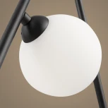 Подвесная люстра Freya Perlina FR4005PL-02B (220V, на тросе, шарики)