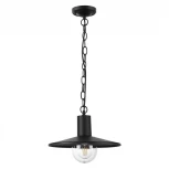Уличный светильник подвесной Odeon Light Furcadia 4833/1 (220V, на цепи, круглые, IP44)