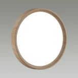 Настенно-потолочный светильник Woodi 7603/EL (регулировка яркости, LED, 220V, пульт управления, круглые, IP43)