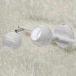 Спот Citilux Раймонд CL555530