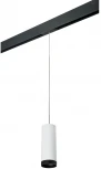 Трековый светильник однофазный 220V Lightstar Rullo PRORP4863437 (круглые)