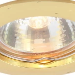 Встраиваемый точечный светильник Arte Lamp Basic A2103PL-1GO (220V)