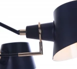 Потолочная люстра Freya Abigail FR5038-CL-06-B