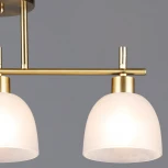 Потолочная люстра на штанге Reluce 06417-0.3-03 COP (220V)