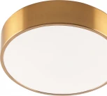 Потолочный светильник светодиодный Zortes Tortty ZRS.02566.36