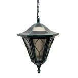 Уличный светильник подвесной Русские фонари Венеция 220-01/bgr-14 (на цепи, IP54)