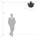 Потолочная люстра Lightstar Manica 794094