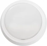 Настенно-потолочный светильник светодиодный Feron AL3020 41766 (220V, круглые)