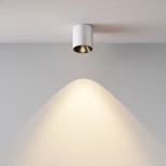 Накладной потолочный светильник Maytoni Alfa LED C064CL-5W3K-RD-WB (220V, круглые)