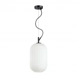 Подвесной светильник Odeon Light Roofi 4751/1 (220V, на тросе)