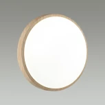 Настенно-потолочный светильник Losta 7607/EL Sonex (регулировка яркости, LED, 220V, пульт управления, круглые, IP43)