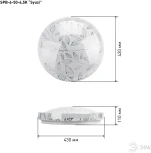 Потолочный светильник светодиодный ЭРА SPB-6-50-6,5K Syuzi