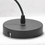Подвесной светильник Lussole Lgo Bossier GRLSP-8273 (220V, на проводе, IP21)