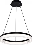 Подвесной светильник Favourite Cirkler 4399-4P (LED, 220V, на проводе, кольцо)