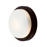 Настенно-потолочный светильник Odeon Light Holger 2744/1C