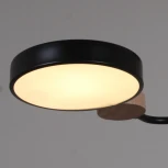 Потолочная люстра на штанге светодиодная Reluce 03326-0.3-05 BK+WOOD