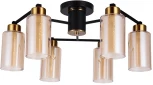 Потолочная люстра на штанге Arte Lamp Leo A7027PL-6BK