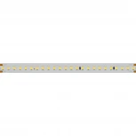 Светодиодная лента Arlight IC 026981