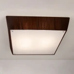 Потолочный светильник Citilux 914 CL914142