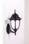 Настенный фонарь уличный Oasis Light GENUYA 92101/04 Bl (220V, фонарь, IP44)