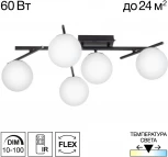 Потолочная люстра на штанге Citilux Dorsy CL223152 (регулировка яркости, LED, 220V, пульт управления, шарики)