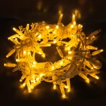 Гирлянда Eurosvet 400-102 теплый белый