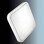 Настенно-потолочный светильник Sonex Kvadri 2014/D