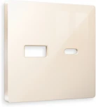 Лицевая панель Ambrella Volt ALFA (Бежевый глянец) для розетки 2USB тип A+C QUANT AP3110