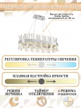 Подвесная люстра с таймером Natali Kovaltseva Smart Нимбы LED LAMPS 81251 (220V, хрусталь, пульт управления, управление смартфоном, на тросе)
