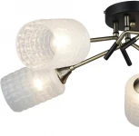 Потолочная люстра Wedo Light Noverate 66673.01.37.05