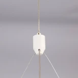 Подвесной светильник Citilux Паркер CL225B110 (LED, 220V, на тросе, кольцо)