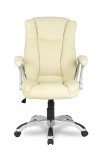 Кресло руководителя бизнес-класса HLC-0631-1/Beige