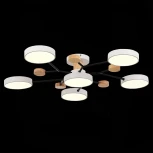 Потолочная люстра на штанге Evoluce Faema SLE6006-502-06