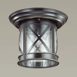 Потолочный светильник уличный Odeon Light Sation 4045/1C (220V, IP44)