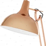 Торшер Eglo Borgillio 94705