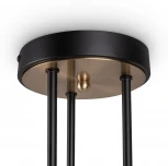 Потолочная люстра на штангу Freya Bogy FR5377CL-06B (220V)