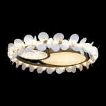 Потолочный светильник Bride 10174 (LED, 220V, цветы, круглые)